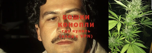 тгк Верея