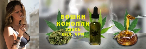 тгк Верея