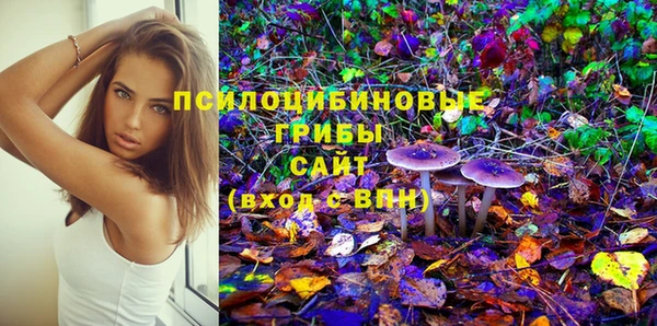 тгк Верея