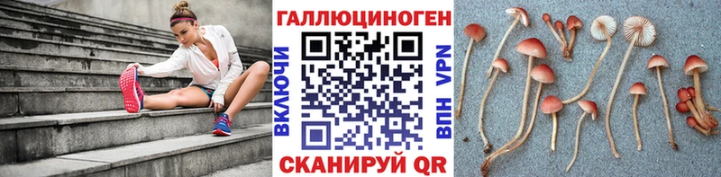 Псилоцибиновые грибы MAGIC MUSHROOMS  где продают наркотики  Галич 