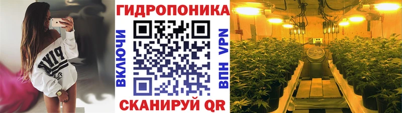 Марихуана марихуана Галич